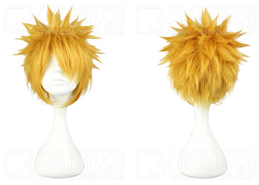 2082 kateikyousi_2d.jpg